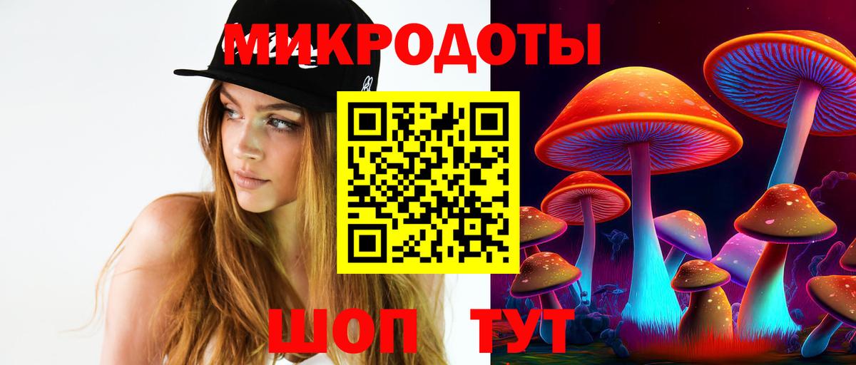 Новороссийск  Псилоцибиновые грибы MAGIC MUSHROOMS  Псилоцибиновые грибы ЛСД  Вход с VPN 